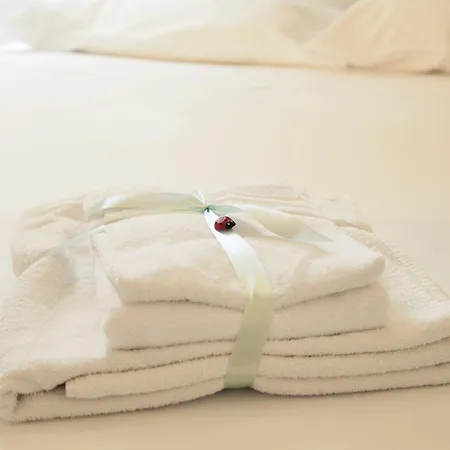 Coccinella