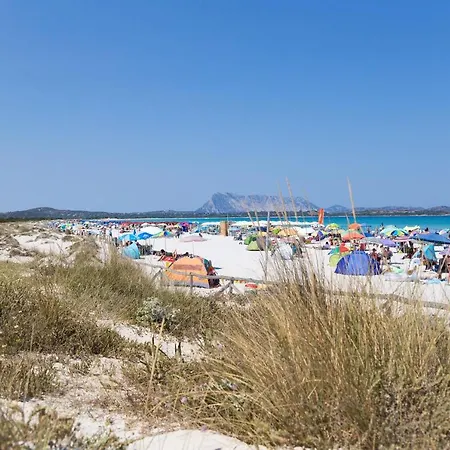 Lägenhet Coccinella *