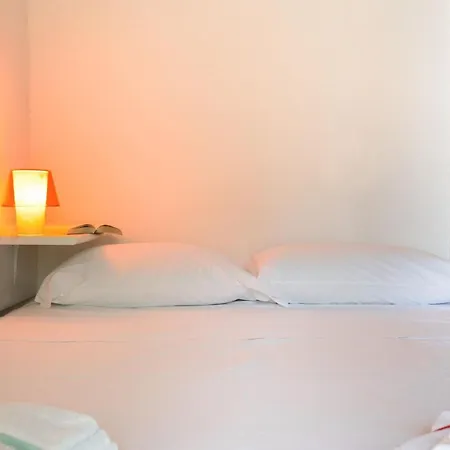 Coccinella San Teodoro (Sardinia)