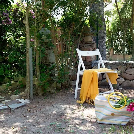 Apartment Coccinella