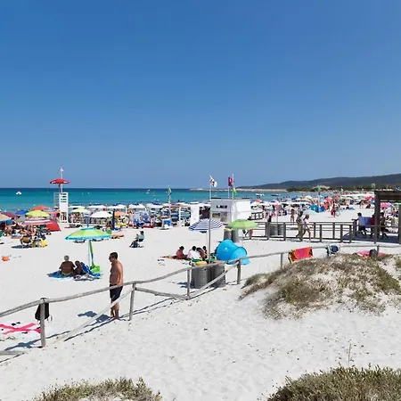 Coccinella San Teodoro (Sardinia)