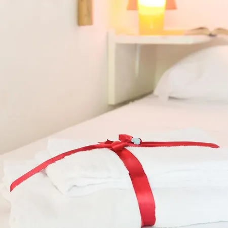 Coccinella * San Teodoro (Sardinia)